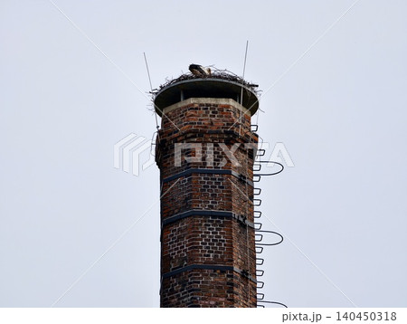 Tall brick chimney with bird nest and lone bird on top against pale sky Tall brick chimney with bird nest and lone bird on top against pale sky 140450318