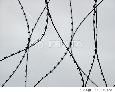 Curved strands of barbed wire silhouetted against a pale sky Curved strands of barbed wire silhouetted against a pale sky 140450328