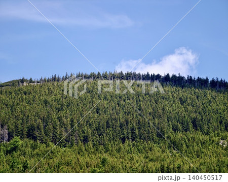 Dense evergreen forest covering a mountain hillside under a clear blue sky Dense evergreen forest covering a mountain hillside under a clear blue sky 140450517