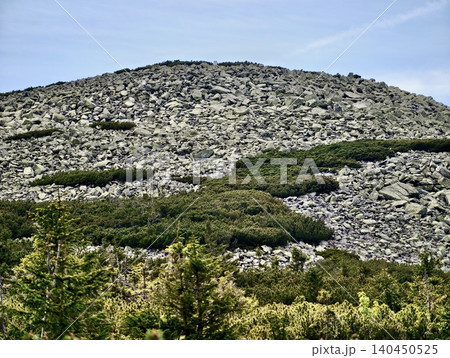 Rocky mountain hillside with sparse green shrubs Rocky mountain hillside with sparse green shrubs 140450525