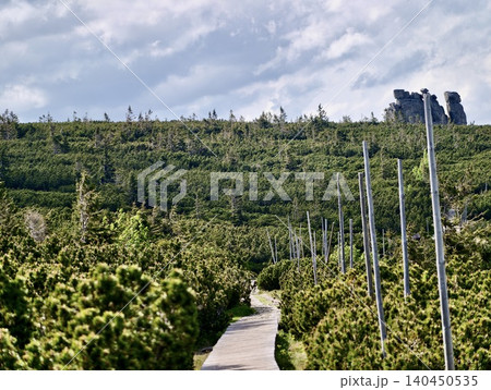 Wooden path through lush green hillside landscape Wooden path through lush green hillside landscape 140450535