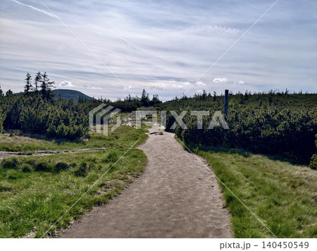 Winding dirt path through grassy countryside under a cloudy sky Winding dirt path through grassy countryside under a cloudy sky 140450549