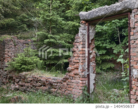 Crumbling brick wall and doorway overgrown by forest vegetation Crumbling brick wall and doorway overgrown by forest vegetation 140450637