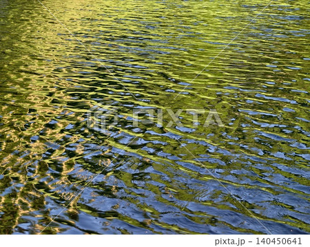 Sunlit ripples on a green-reflecting water surface Sunlit ripples on a green-reflecting water surface 140450641