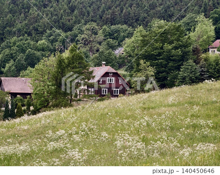 Red cottage nestled at forest edge above wildflower meadow Red cottage nestled at forest edge above wildflower meadow 140450646