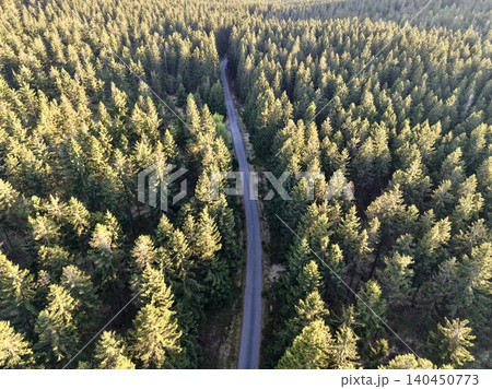 Aerial View Of Winding Treetop Trail. Serpentine Forest Pathway Illuminated By Sunlight From Above 140450773