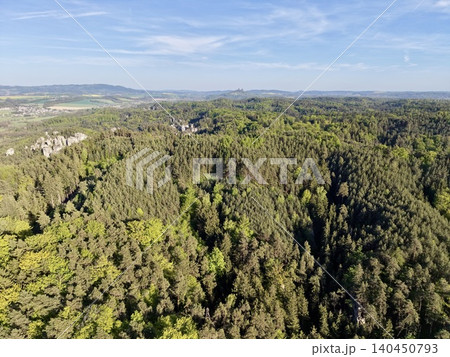 Forest Overhead With Sunlight Filtering. Aerial Perspective Of Lush Forest With Green Seasonal Hues 140450793