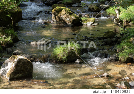 初夏の光が差し込む美しい渓流の風景(山梨県山梨市) 初夏の光が差し込む美しい渓流の風景(山梨県山梨市) 140450925