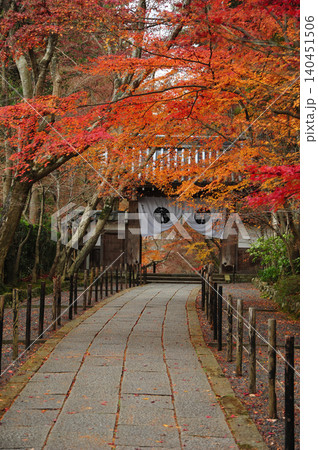 紅葉に包まれたもみじ参道 140451506