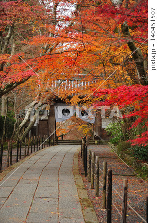 紅葉に包まれたもみじ参道 紅葉に包まれたもみじ参道 140451507