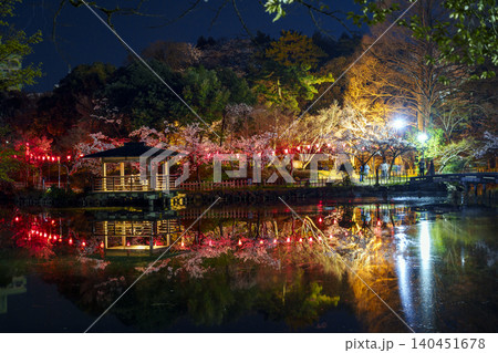 富山県のさくらの名所・高岡古城公園の夜桜 富山県のさくらの名所・高岡古城公園の夜桜 140451678