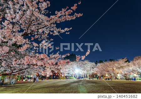 富山県のさくらの名所・高岡古城公園の夜桜 富山県のさくらの名所・高岡古城公園の夜桜 140451682
