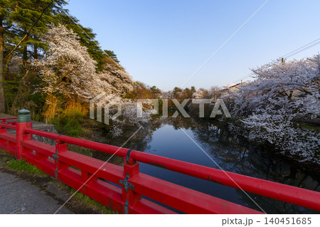 富山県のさくらの名所・高岡古城公園の桜 富山県のさくらの名所・高岡古城公園の桜 140451685
