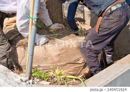 造園業者による樹木の抜根作業 造園業者による樹木の抜根作業 140451924