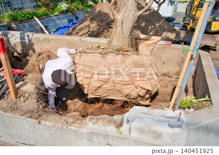 造園業者による樹木の抜根作業 造園業者による樹木の抜根作業 140451925