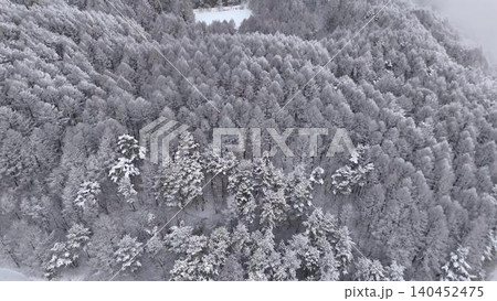 雪化粧した冬の森を真上から捉えた俯瞰空撮 雪化粧した冬の森を真上から捉えた俯瞰空撮 140452475