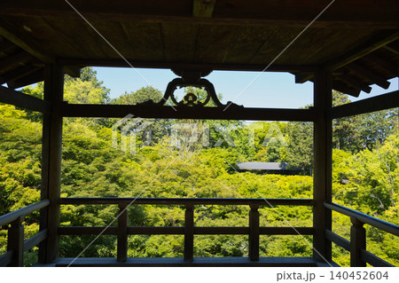 東福寺 通天台から望む生命力に溢れた青もみじ2 東福寺 通天台から望む生命力に溢れた青もみじ2 140452604