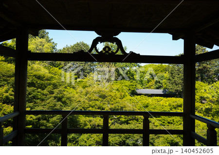 東福寺 通天台から望む生命力に溢れた青もみじ3 東福寺 通天台から望む生命力に溢れた青もみじ3 140452605