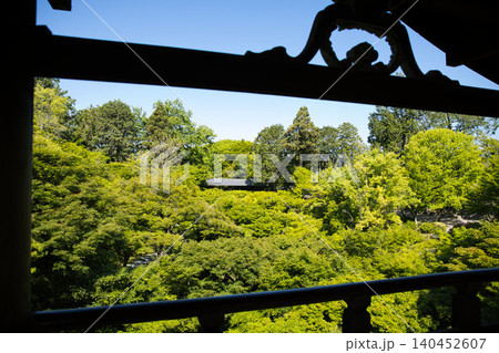 東福寺 通天台から望む生命力に溢れた青もみじ5 東福寺 通天台から望む生命力に溢れた青もみじ5 140452607