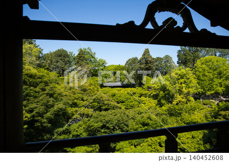 東福寺 通天台から望む生命力に溢れた青もみじ6 東福寺 通天台から望む生命力に溢れた青もみじ6 140452608