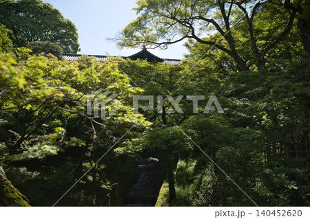 東福寺 洗玉澗から望む青もみじと通天橋5 東福寺 洗玉澗から望む青もみじと通天橋5 140452620