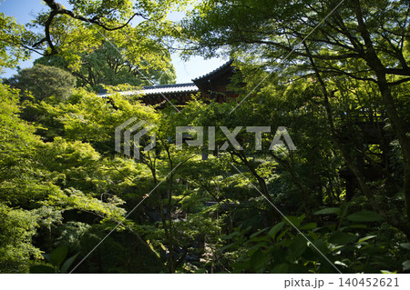 東福寺 洗玉澗から望む青もみじと通天橋6 東福寺 洗玉澗から望む青もみじと通天橋6 140452621