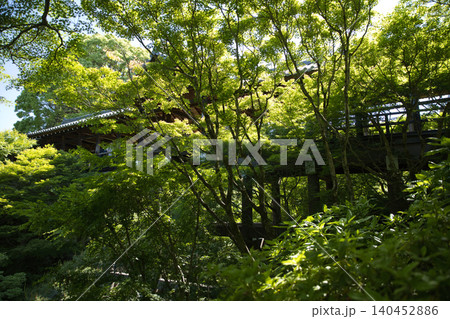 東福寺 洗玉澗から望む青もみじと通天橋9 東福寺 洗玉澗から望む青もみじと通天橋9 140452886