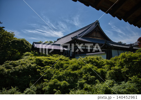 東福寺 通天橋から望む青もみじと方丈2 東福寺 通天橋から望む青もみじと方丈2 140452961