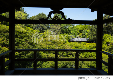 東福寺 通天台から望む生命力に溢れた青もみじ9 東福寺 通天台から望む生命力に溢れた青もみじ9 140452965