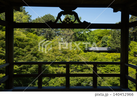 東福寺　通天台から望む生命力に溢れた青もみじ10 140452966