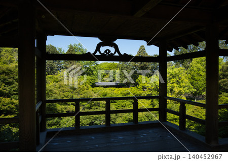 東福寺　通天台から望む生命力に溢れた青もみじ11 140452967