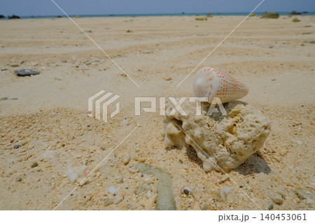 砂浜の波模様跡と貝殻の海イメージ素材 140453061