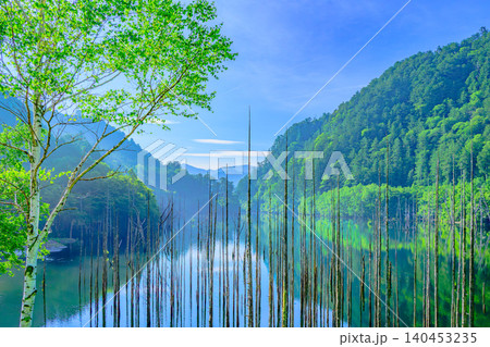 初夏の明るい朝 御嶽山山麓・自然湖の立ち枯れと青空広がる新緑水鏡リフレクション 140453235