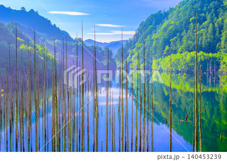 初夏の明るい朝 御嶽山山麓・自然湖の立ち枯れと青空広がる新緑水鏡リフレクション 140453239