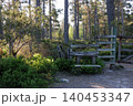 Fence and wooden stile on forest footpath in Scotland 140453347