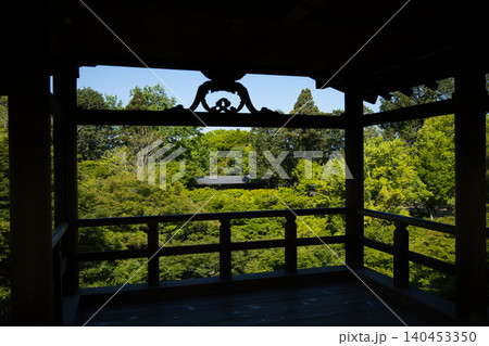 東福寺 通天台から望む生命力に溢れた青もみじ12 東福寺 通天台から望む生命力に溢れた青もみじ12 140453350