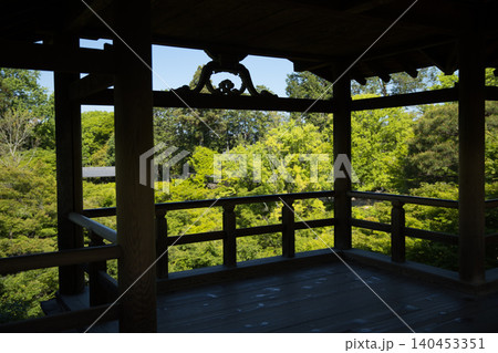 東福寺 通天台から望む生命力に溢れた青もみじ13 東福寺 通天台から望む生命力に溢れた青もみじ13 140453351