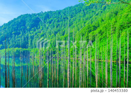 初夏の明るい朝 新緑の林と立ち枯れの木々が美しく映り込む自然湖の水鏡無人風景 初夏の明るい朝 新緑の林と立ち枯れの木々が美しく映り込む自然湖の水鏡無人風景 140453380