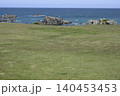 種差海岸天然芝生地 140453453