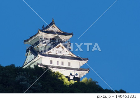 岐阜城 140453833