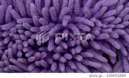 Full-frame abstract macro texture of a bright purple microfiber mop cloth. The thick, soft shaggy fabric strands create a uniform pattern of vibrant organic shapes. Full-frame abstract macro texture of a bright purple microfiber mop cloth. The thick, soft shaggy fabric strands create a uniform pattern of vibrant organic shapes. 140453884