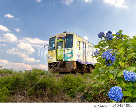 青い紫陽花と関西本線の列車 青い紫陽花と関西本線の列車 140454806