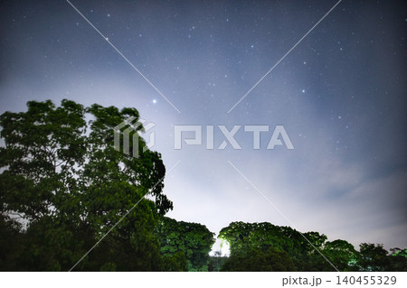 緑の木々の上に広がる、神秘的な満天の星空 緑の木々の上に広がる、神秘的な満天の星空 140455329