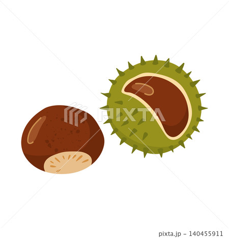 Brown horse chestnut nut and green prickly shell isolated on white background Brown horse chestnut nut and green prickly shell isolated on white background 140455911