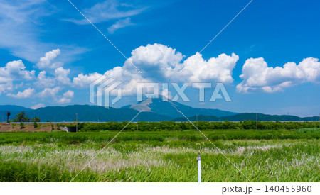長浜市からみた夏の伊吹山 長浜市からみた夏の伊吹山 140455960