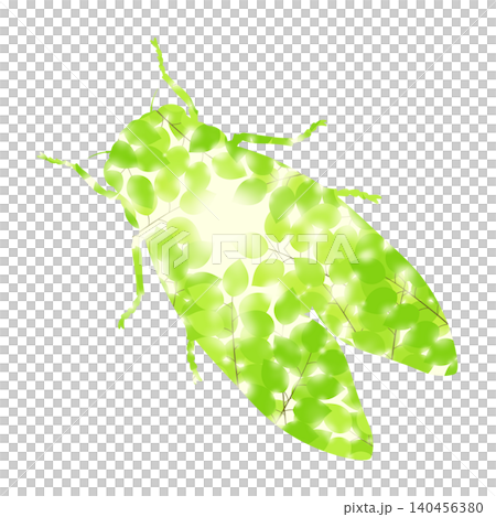 アブラゼミのイラスト アブラゼミのイラスト 140456380