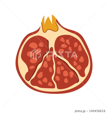 Hand drawn half of pomegranate fruit with seeds vector illustration 140456618