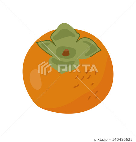 Hand drawn whole orange persimmon fruit vector illustration isolated Hand drawn whole orange persimmon fruit vector illustration isolated 140456623