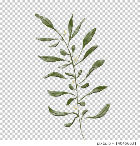 Watercolor Green Leaves Branch Clip Art, Isolated Digital Botanical Illustration png Watercolor Green Leaves Branch Clip Art, Isolated Digital Botanical Illustration png 140456631