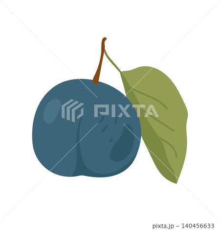 Hand drawn whole blue plum fruit with green leaf vector illustration Hand drawn whole blue plum fruit with green leaf vector illustration 140456633